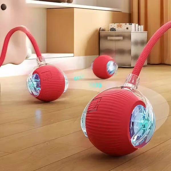 Electric Cat Toy Ball, Rechargeable dog ball toy