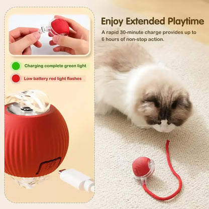 Electric Cat Toy Ball, Rechargeable dog ball toy