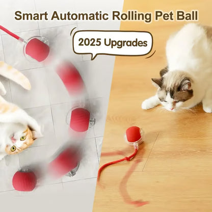 Electric Cat Toy Ball, Rechargeable dog ball toy