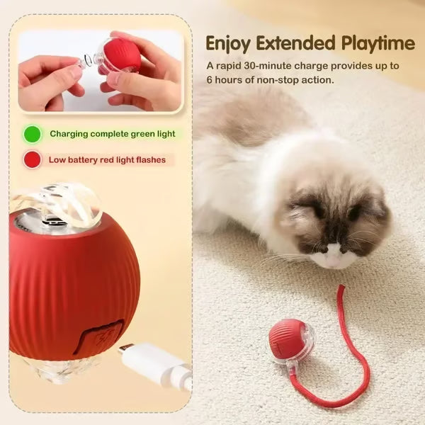 Electric Cat Toy Ball, Rechargeable dog ball toy
